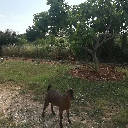 בית נופש Holiday Ana